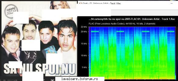 spui 2005 flac 1&nbsp; &nbsp; nicusor guta* & &nbsp; spui nu2&nbsp; &nbsp; florin &nbsp; distrez